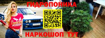 амф Гусь-Хрустальный