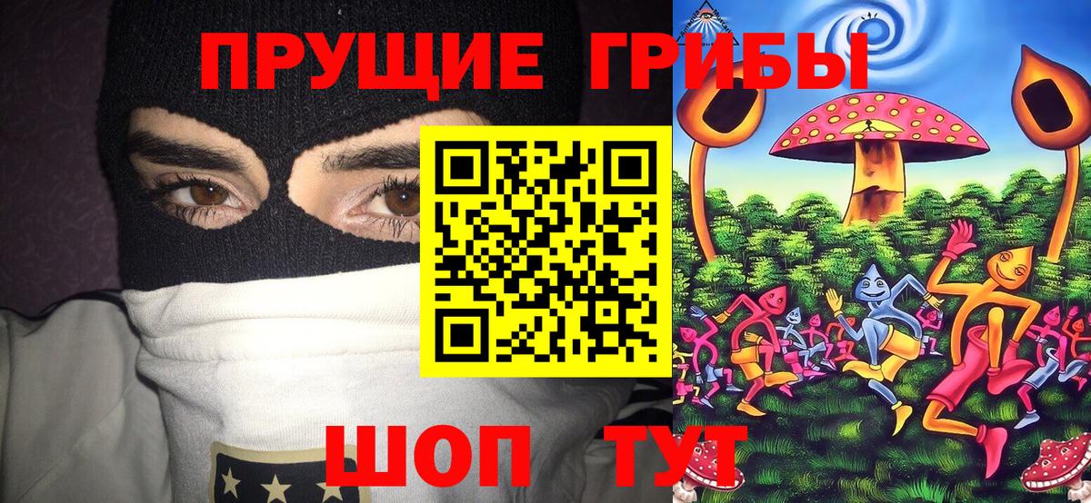Псилоцибиновые грибы Psilocybine cubensis  Вход с VPN  Красноармейск 