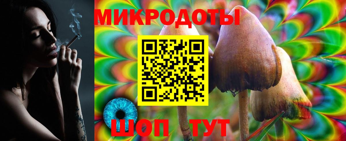 Галлюциногенные грибы Psilocybe Красноармейск